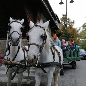 Lovaskocsis városnézés a Wekerlén – 09.19. 11:00