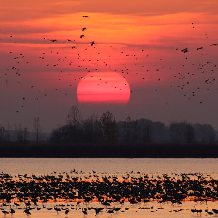 WTE Ismeretterjesztő és közösségépítő kirándulás – A Közép-Tisza vidék rejtőzködő kincsei: Hortobágy – ahol az ég a földet éri